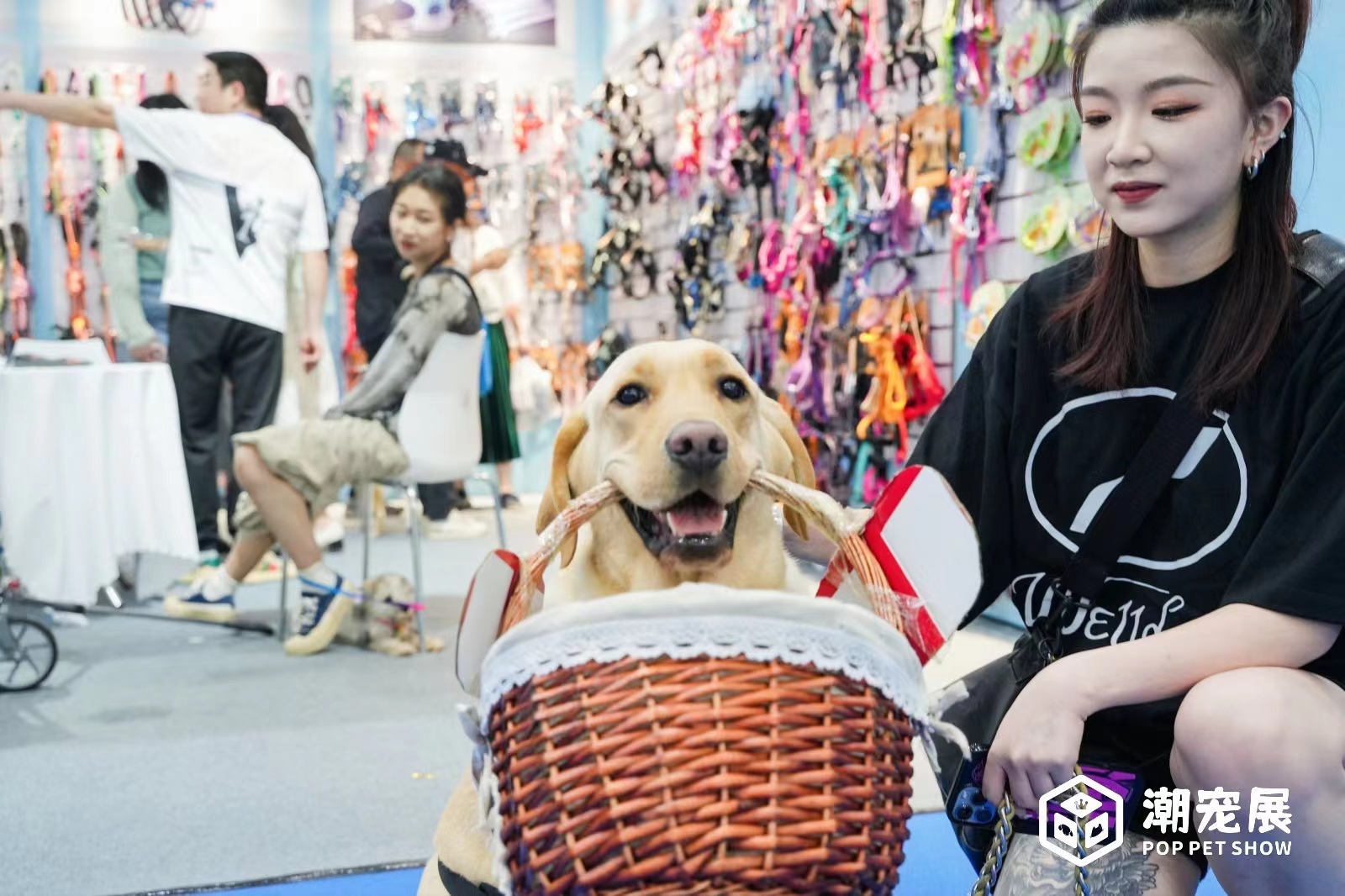 2023潮流创新宠物展|广州宠物展|广州宠物博览会