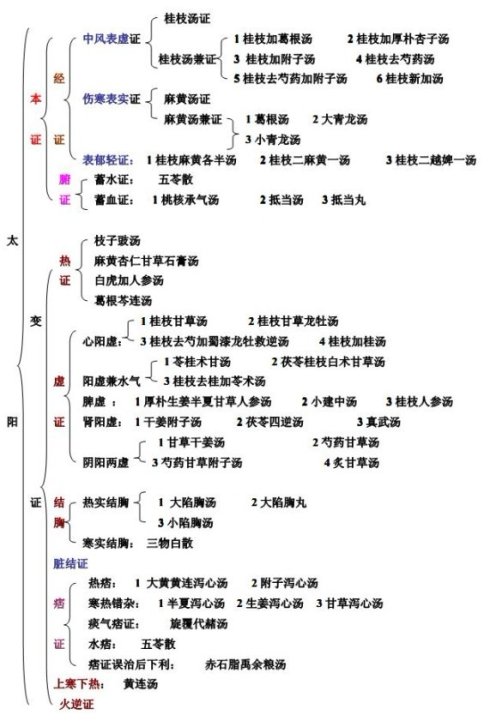 《中医疾病名代码 医保版(gb95版》解读01(六经辨证)