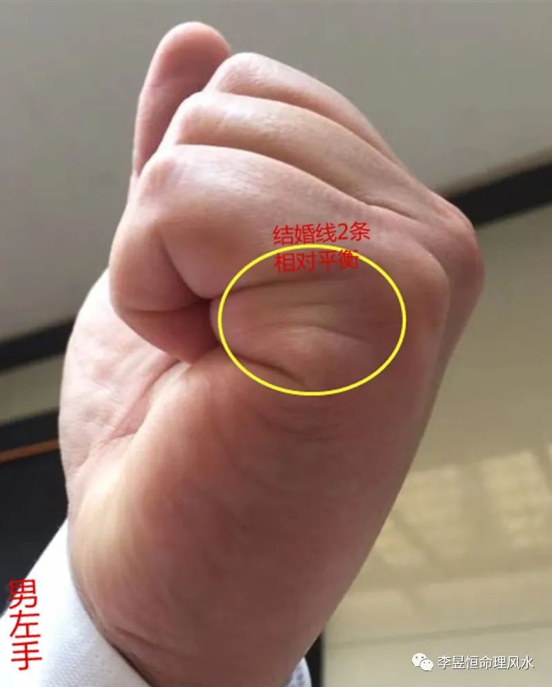 元宝纹手相图片 baijiahao.baidu.com