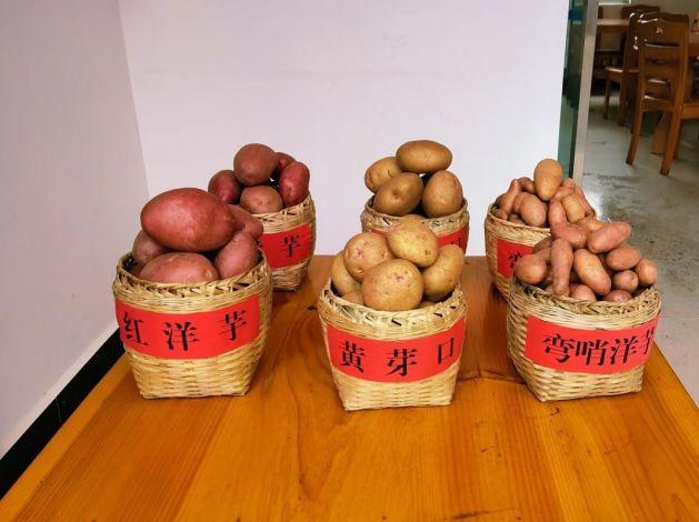 张兴发:倾情服务暖民心