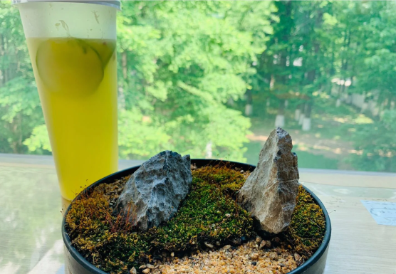 手绘打卡南博│钢笔速写│建筑速写