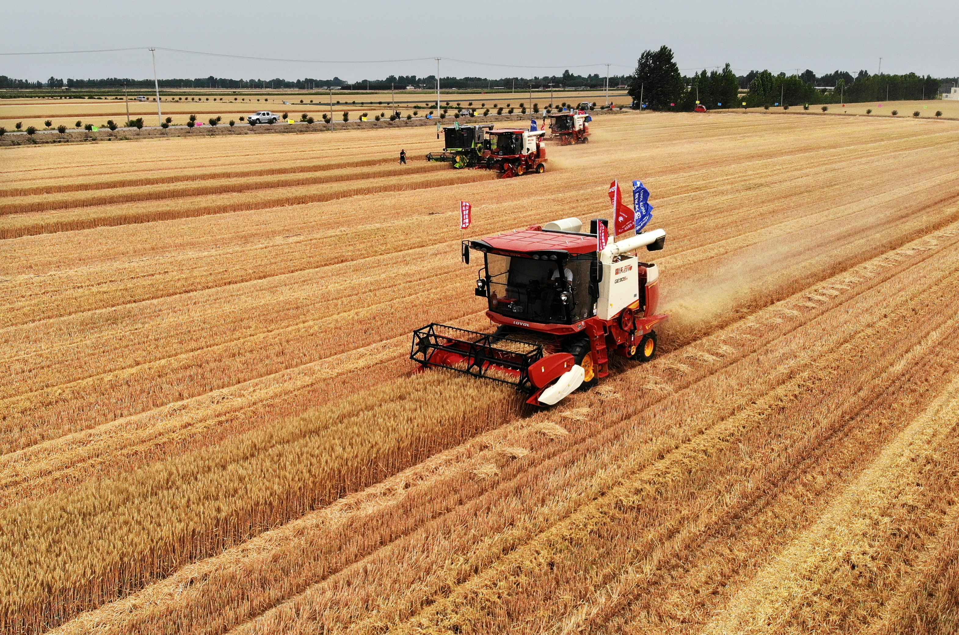 山东平度:麦田比武赛技能 减损增产保丰收