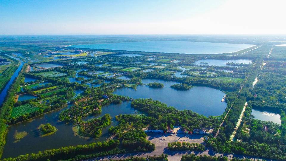 寿光湿地保护体系基本建成,投资9亿用于小清河入海口湿地打造