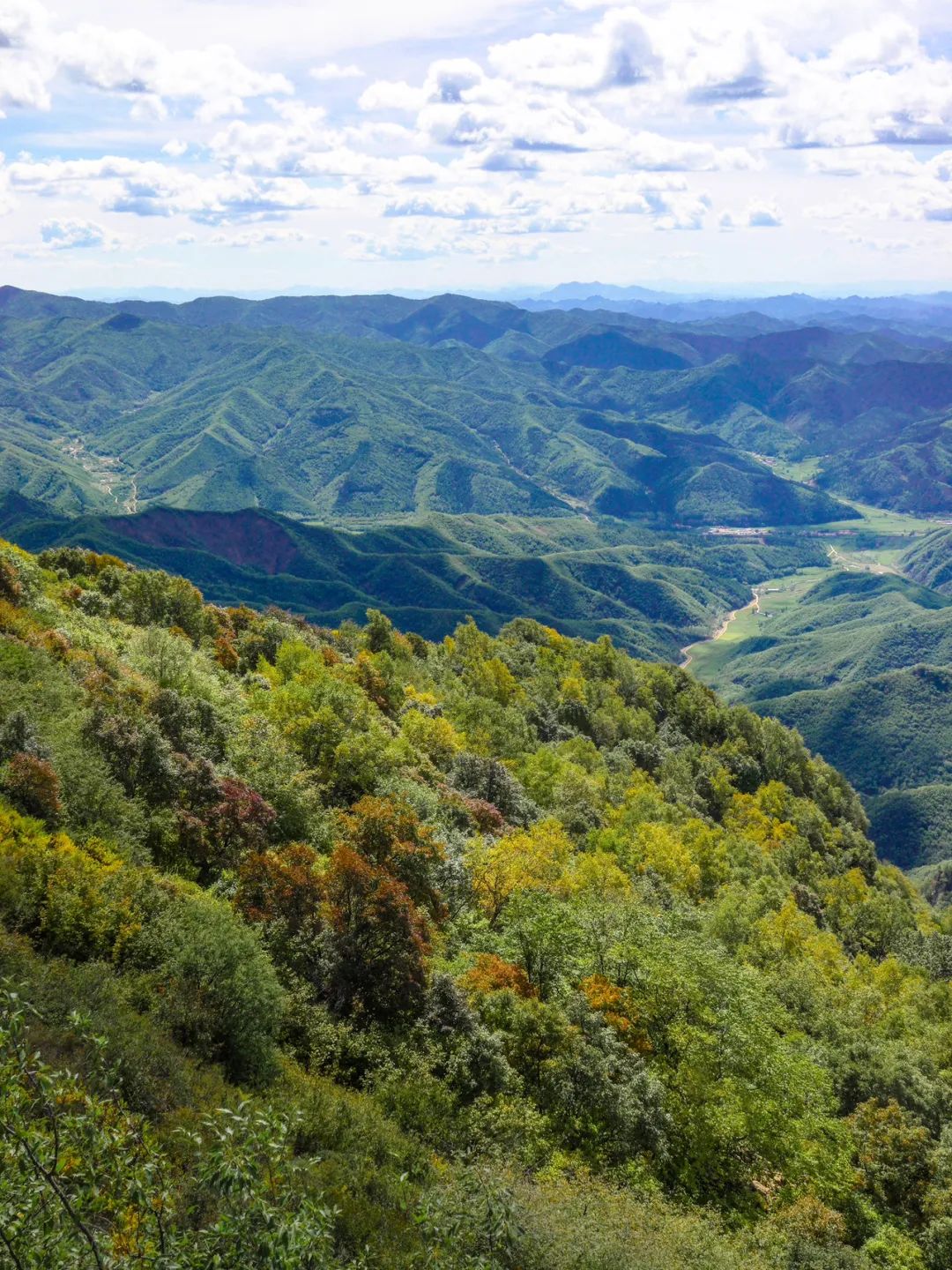 秋染茅荆坝,等你来探索的色彩王国