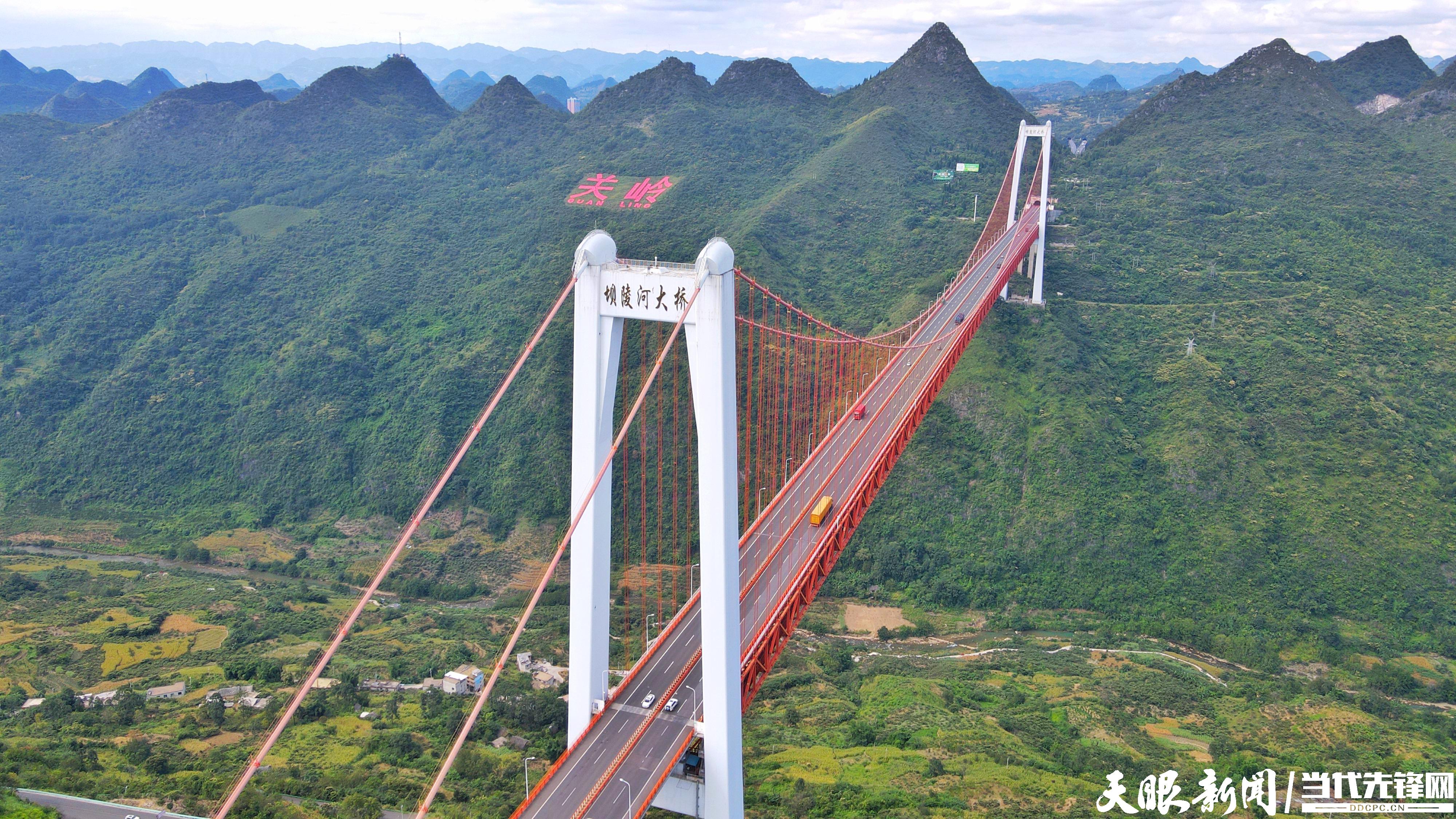 温江金马河大桥图片