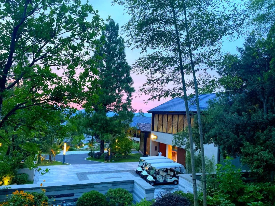 乐游长三角丨假期还有余额,安吉这些绝美好去处,你自己选