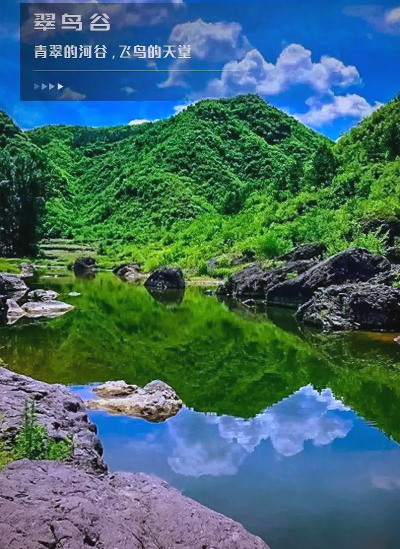 翠鸟谷徒步:探索宁静与活力并存的原始生态