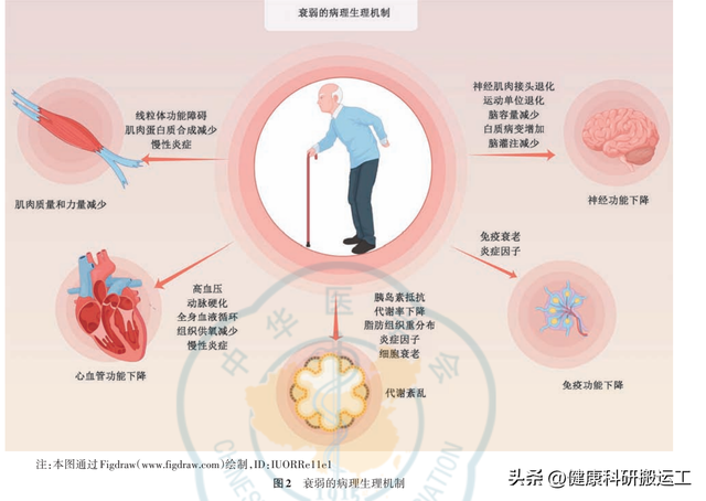 中国医科大学|中国老龄化挑战下的衰弱问题的干预策略