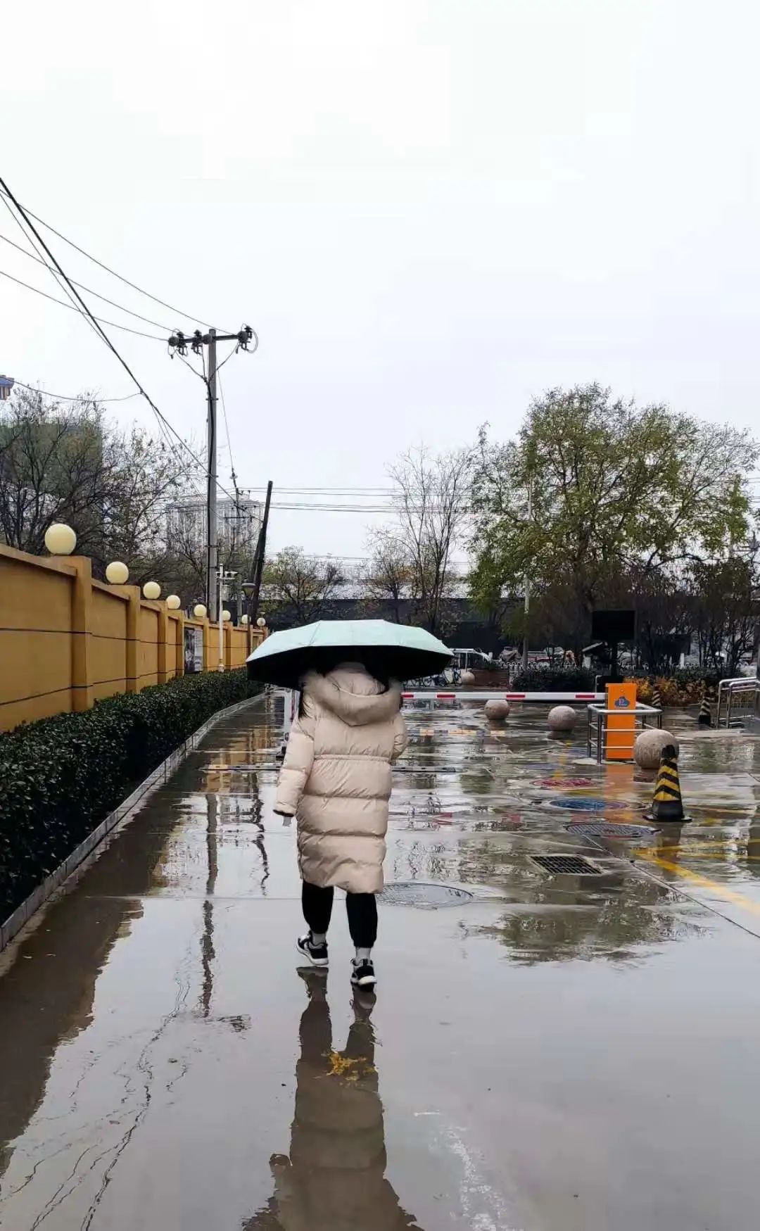 保定市发布大风蓝色预警云收雨过大风起降温降温