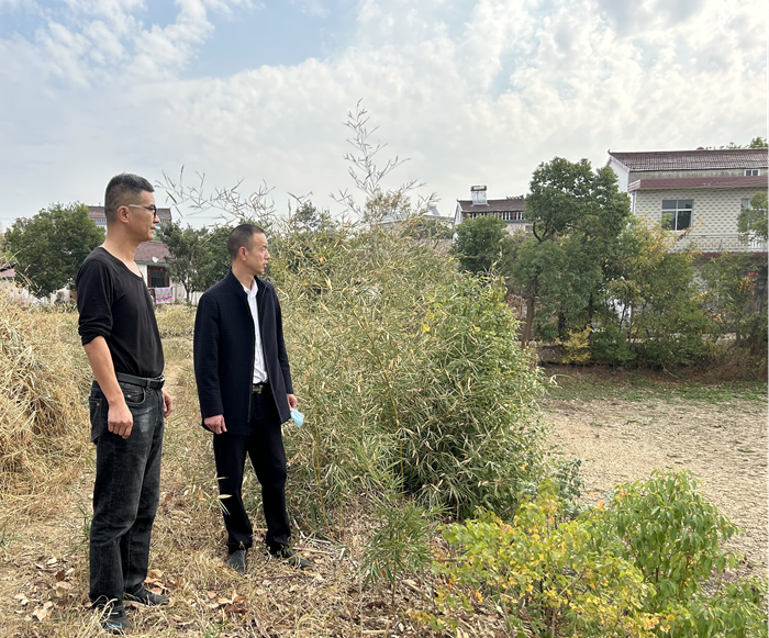 桐城市青草镇:桑梓情深践公益 赤子丹心映故土