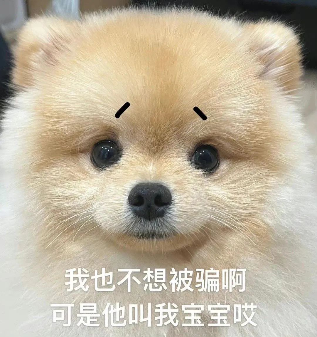 狗子表情|小狗勾表情包