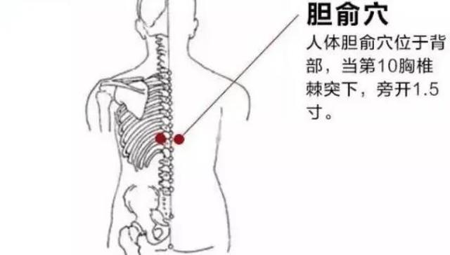 胆俞穴,疏肝利胆治口干口苦的穴位