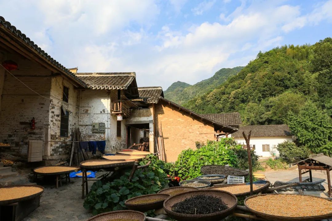 安徽太湖:龙潭寨晒秋