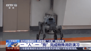 https://pic.rmb.bdstatic.com/bjh/news/1b469c0fbca8e0b43775117202c1dd74.gif