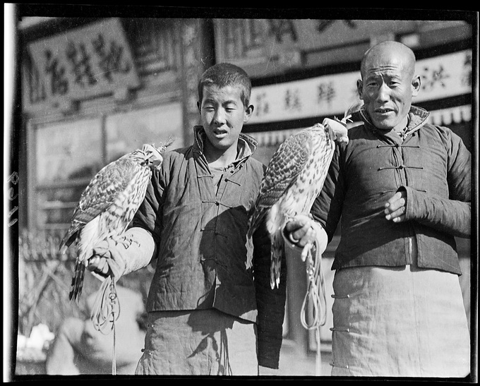 老北京玩物讲究颇多民国时期很多知名人士也是猫奴