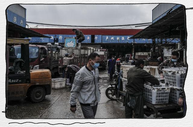 武汉白沙洲市场复苏,小龙虾交易量大幅回升