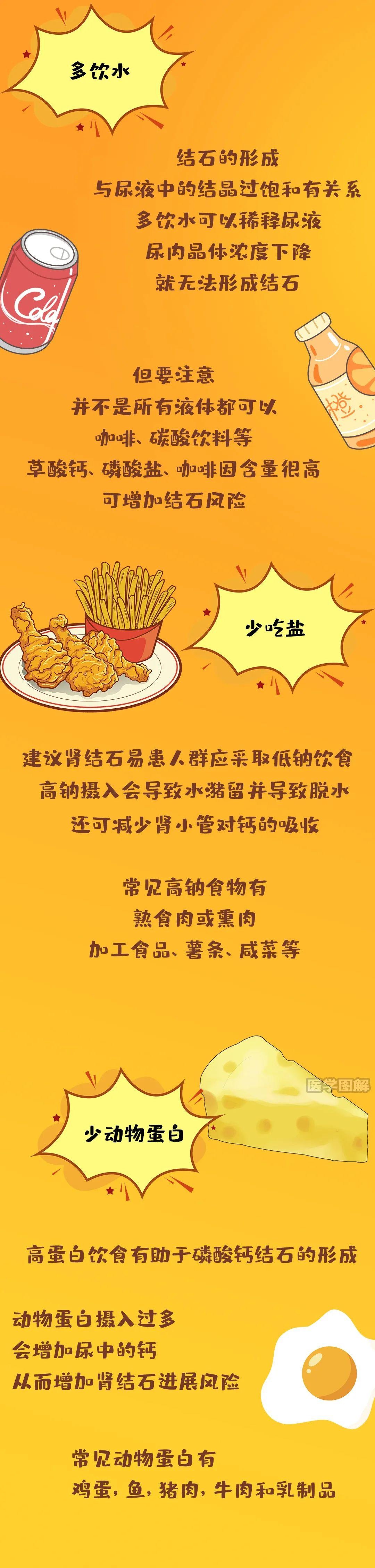 肾结石是怎么回事?怎样预防?一图全搞定丨医学图解