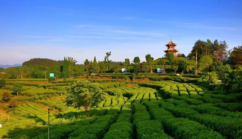 身披渊源千载面向春山万里宁强春日度假攻略