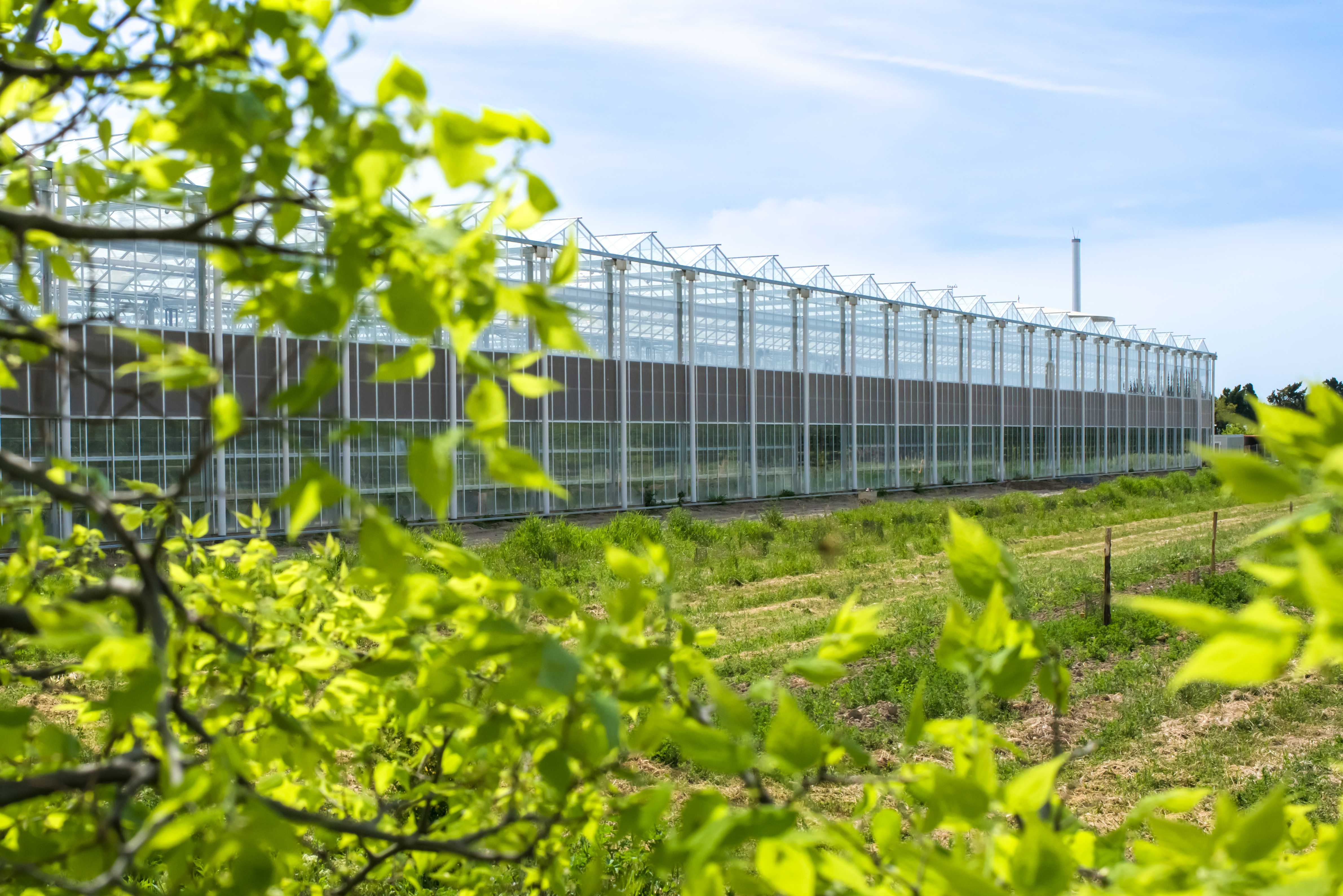 宁安兴盛大棚招聘网站_宁安市今天工厂招工