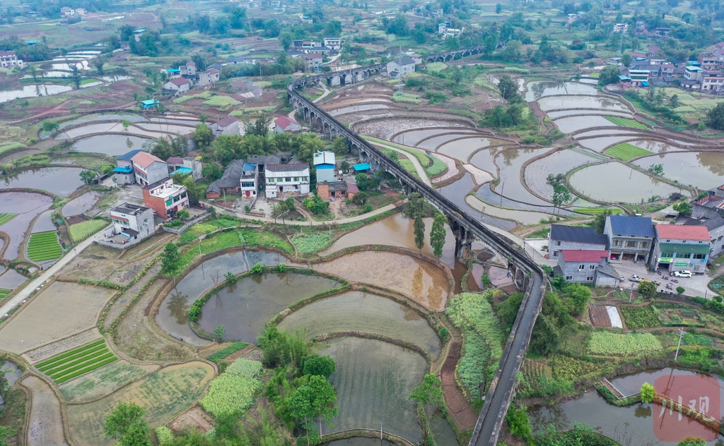 视频|十里长虹引水来,隆昌沱灌工程2021年春灌开始