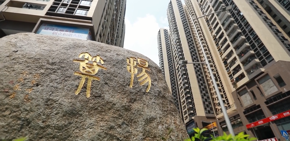 羊城巾帼心向党|张建好:杨箕村老支书