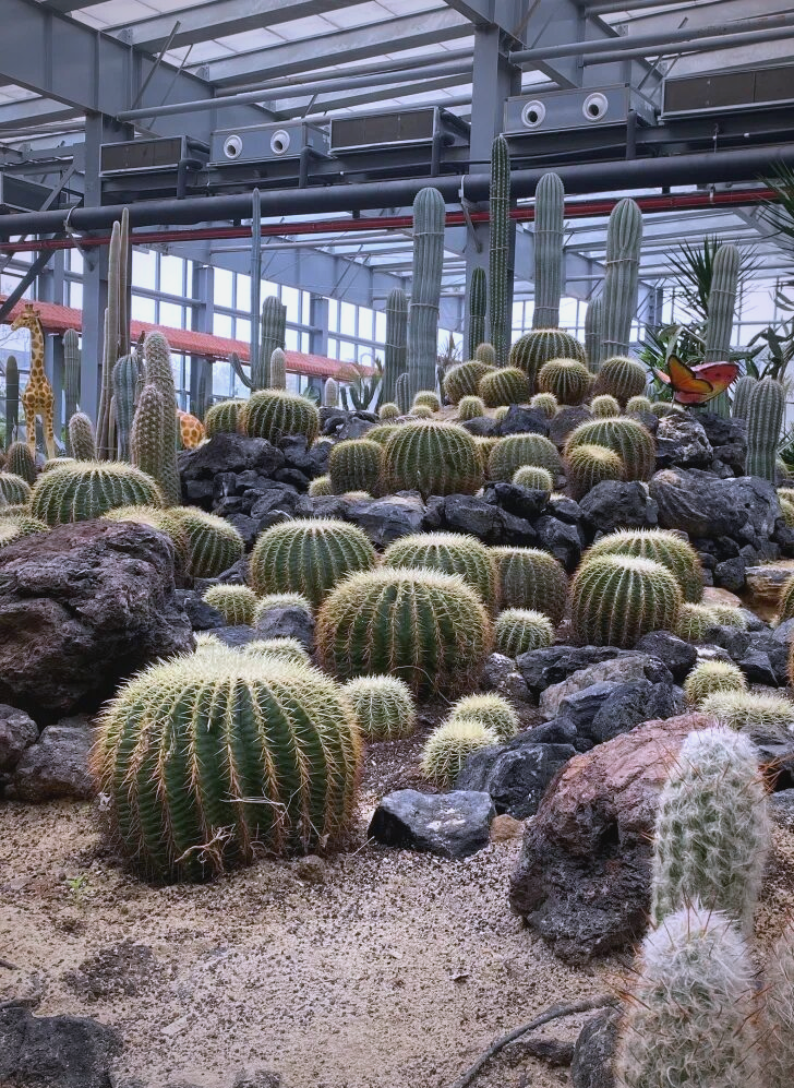 金沙洲壹号庄园:体验现代与自然融合的悠闲假期