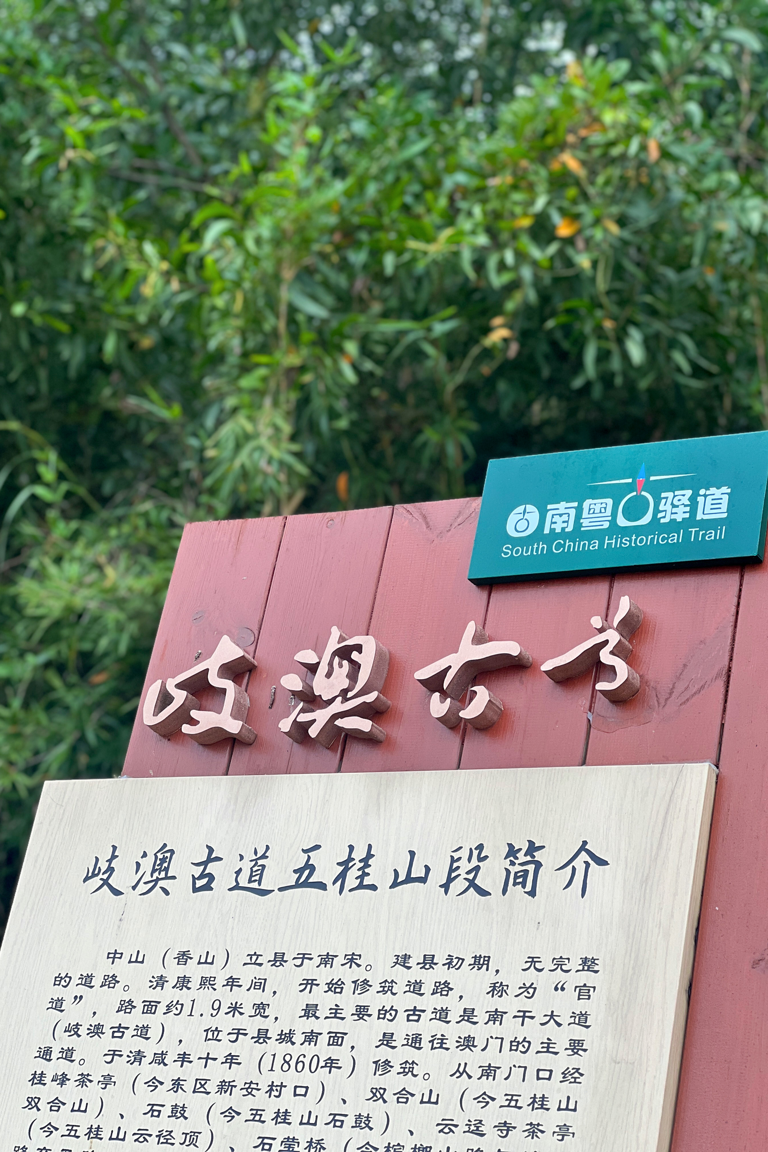 大美中国|岐澳古道与风同行