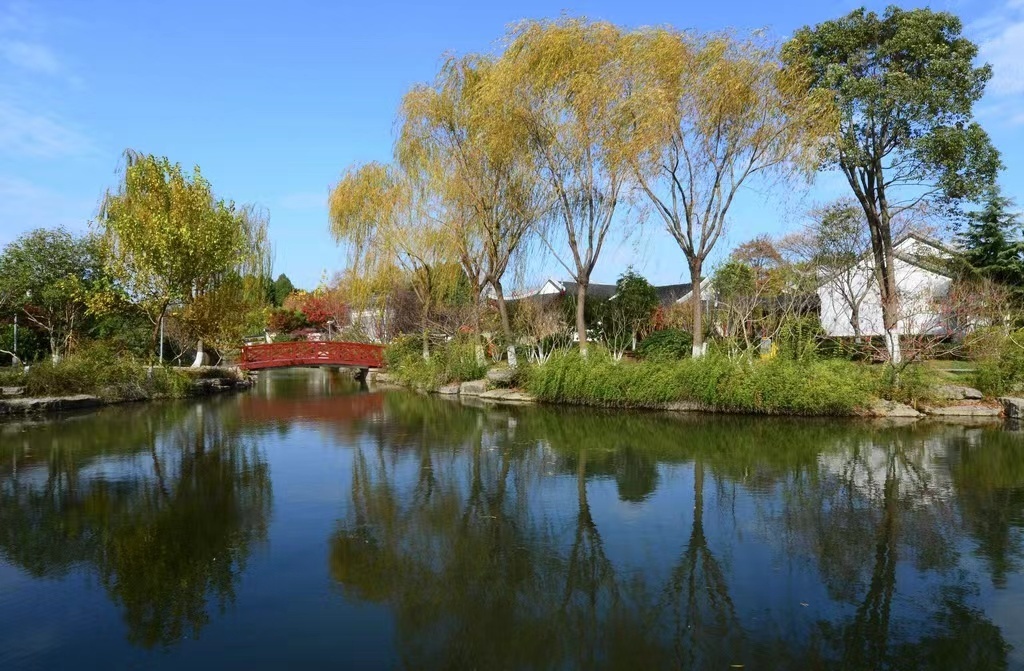 美丽江苏·每日一景丨江苏泰州靖江天水公园:亭台楼阁可揽月