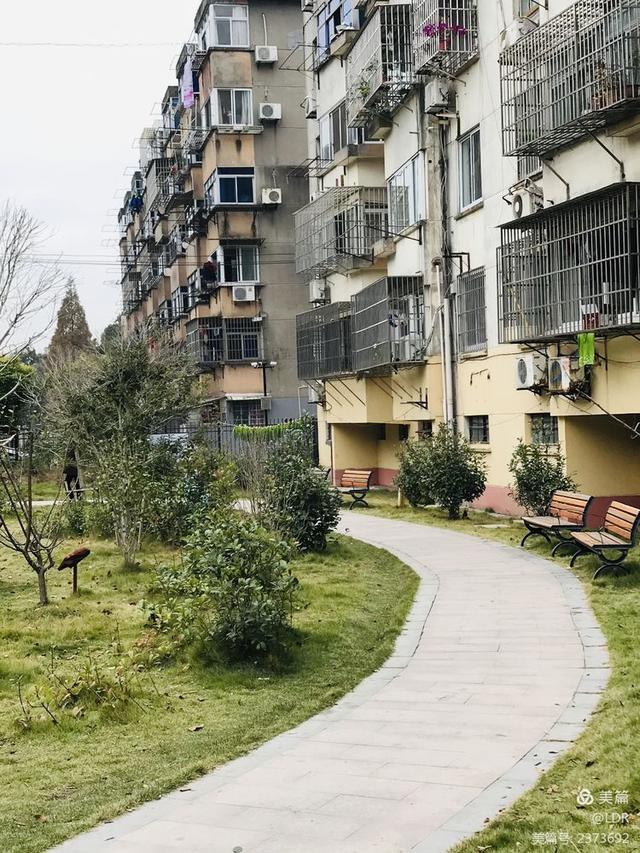 魏塘镇解放一村新貌