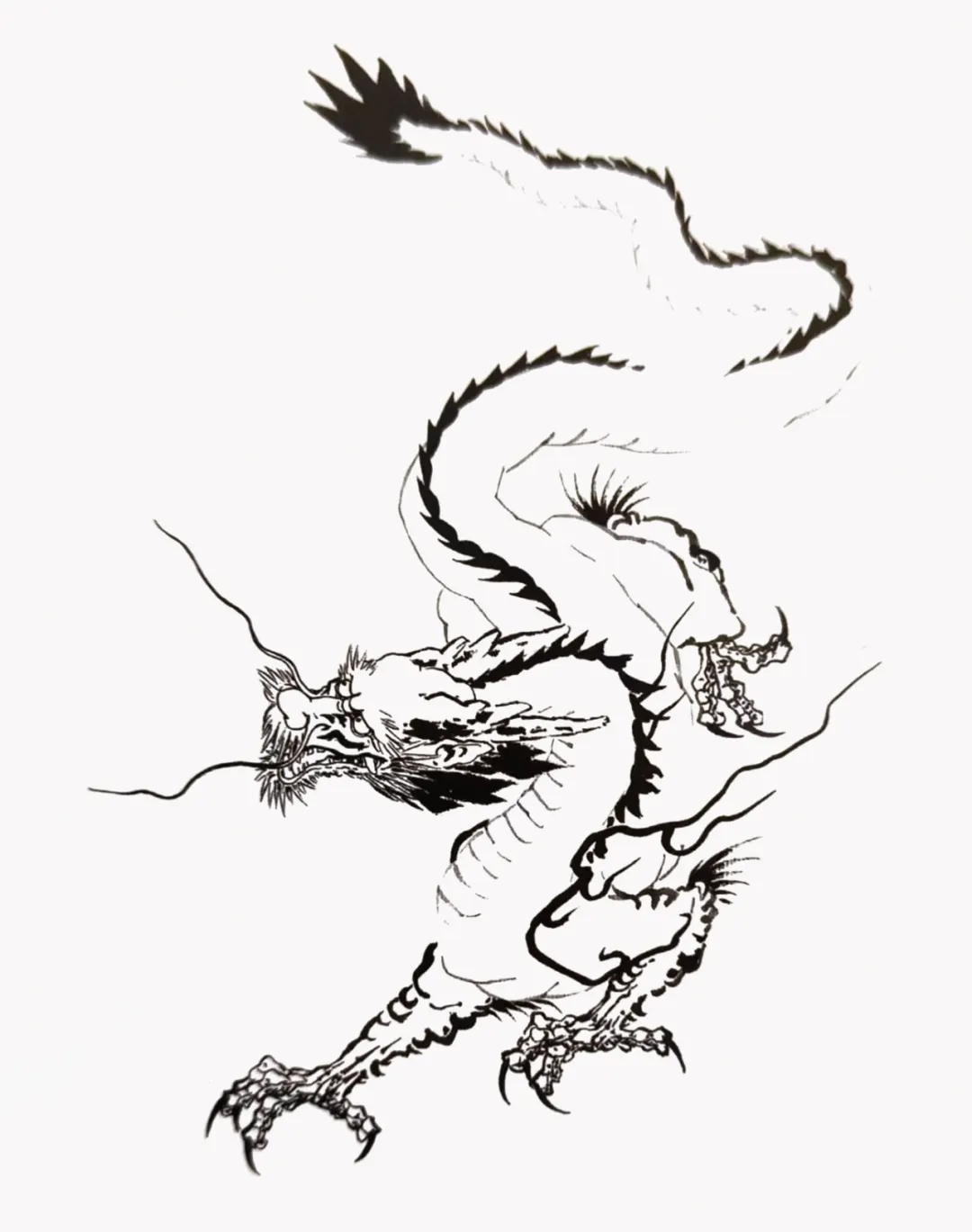 书画课堂:《云龙图》的创作方法与步骤详解