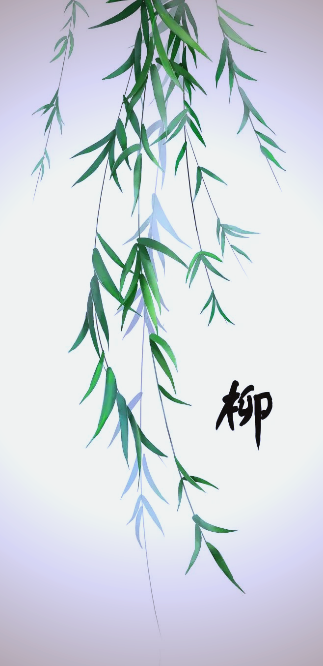 探秘柳叶:百味本草中的春日使者