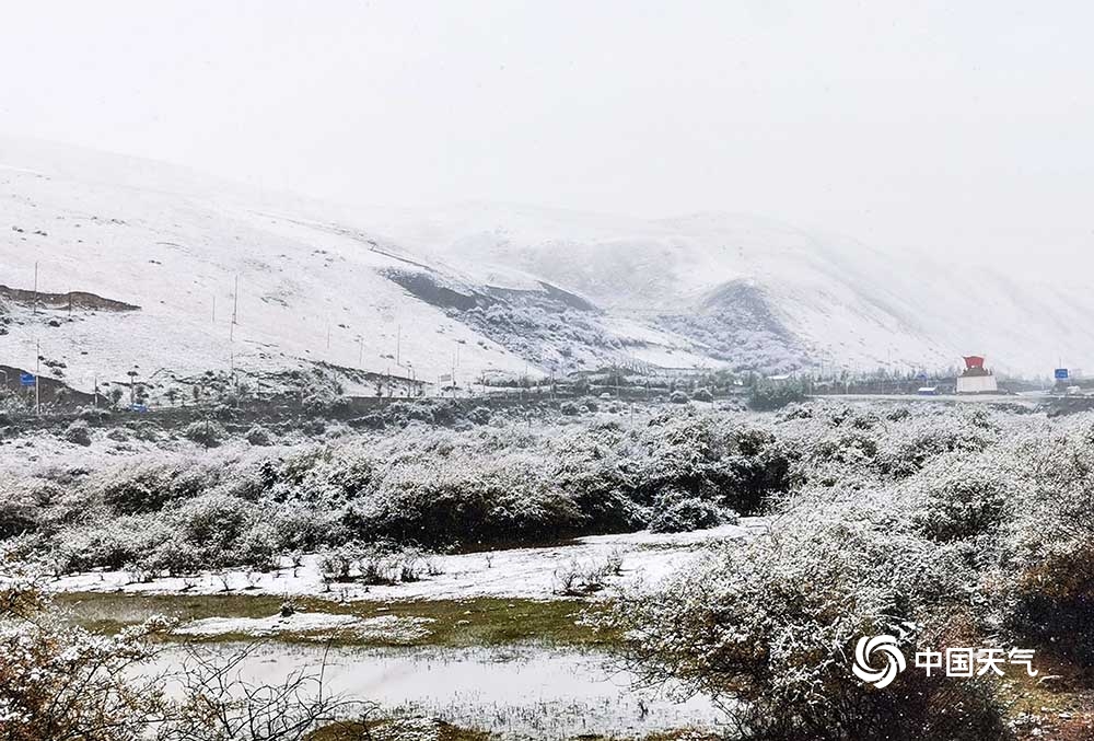 青海果洛州班瑪縣迎來今秋首場降雪 將降低森林草原火險等級