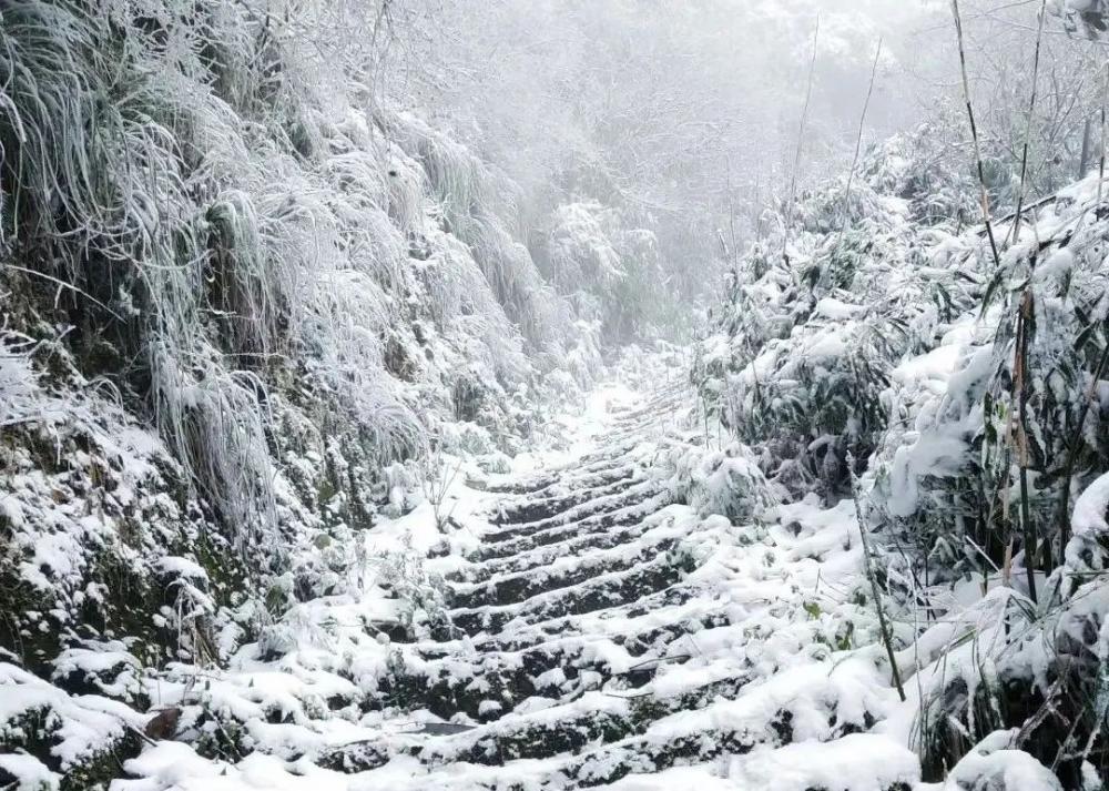 重庆主城下雪了!