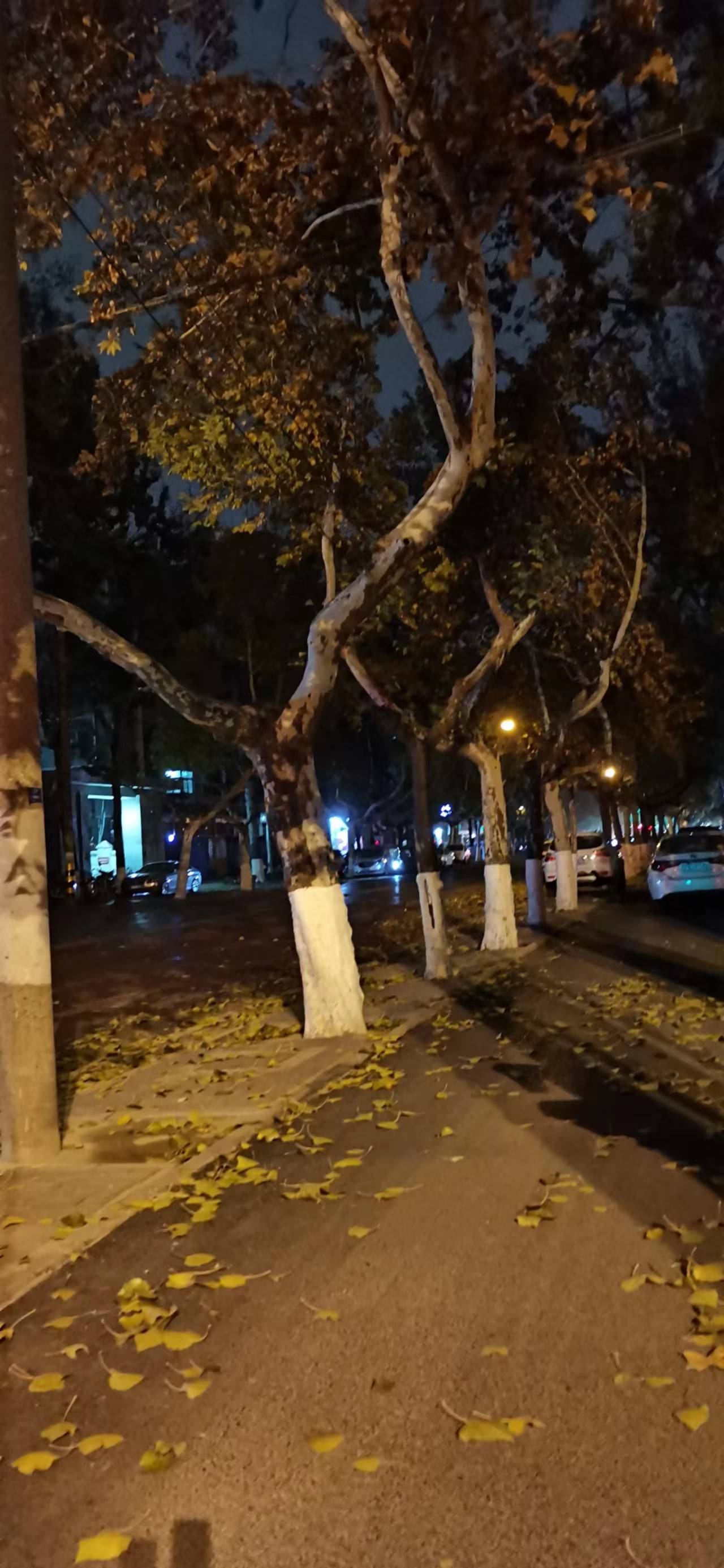 高考的时光,照亮了寒冷的冬夜