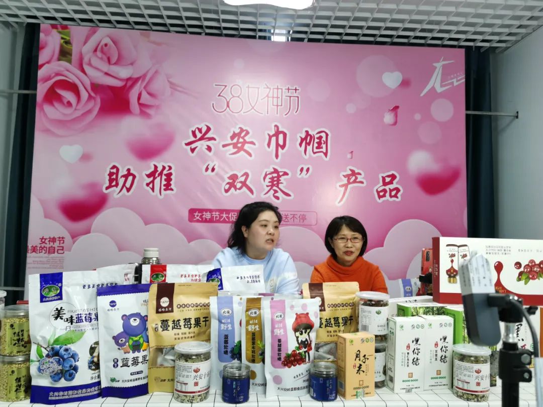地区妇联联合北极珍品汇电子商务有限公司 举办"兴安巾帼 助推'双寒'