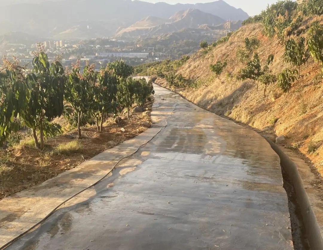 泥巴路變水泥路鋪就鄉村振興路