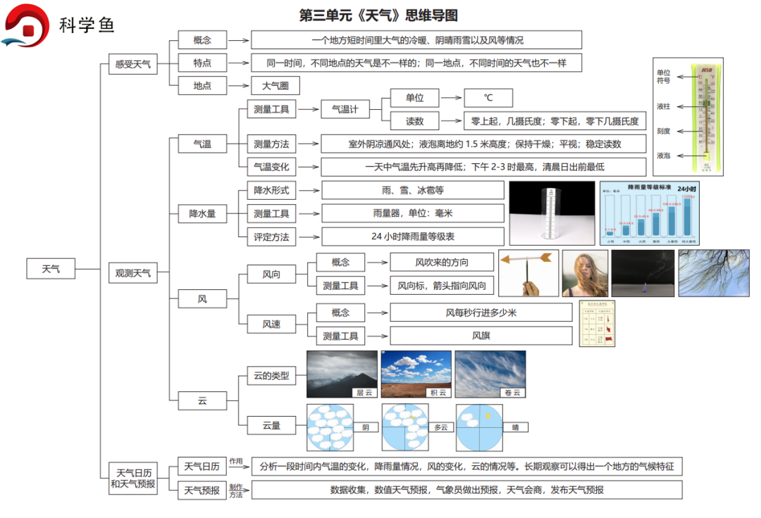 三年级上册科学导图图片