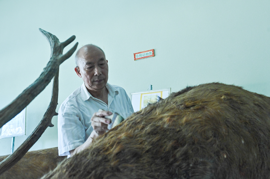 看见李文建古稀标本师让900多种动植物重生