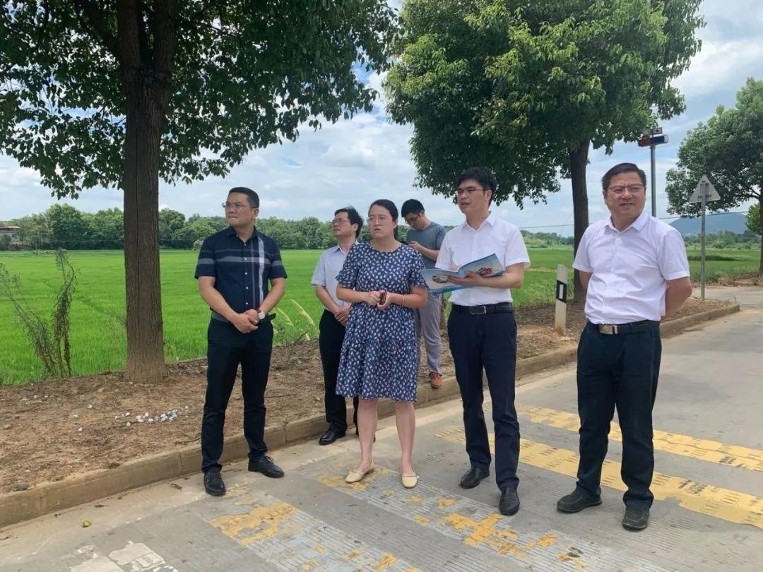 林胜利到二郎镇调研指导农村人居环境 "六乱"整治工作