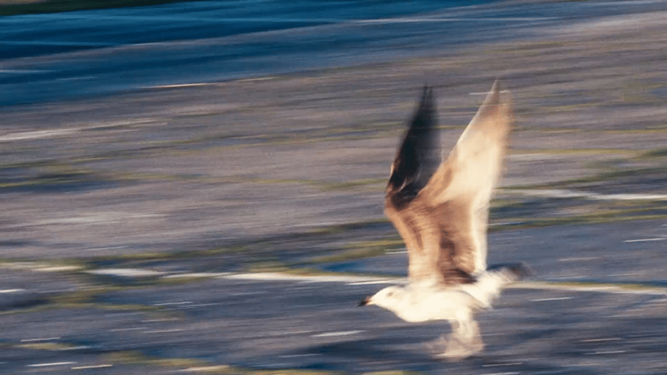 丨@小鬼-王琳凯《good life》mv 预告发布!