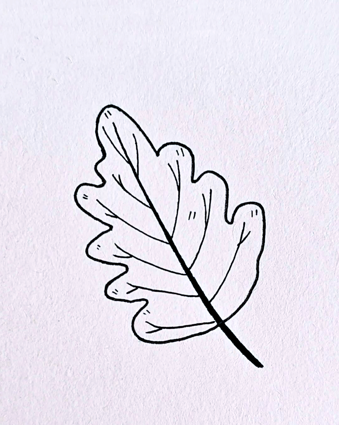 各种叶子的简笔画欣赏与感悟