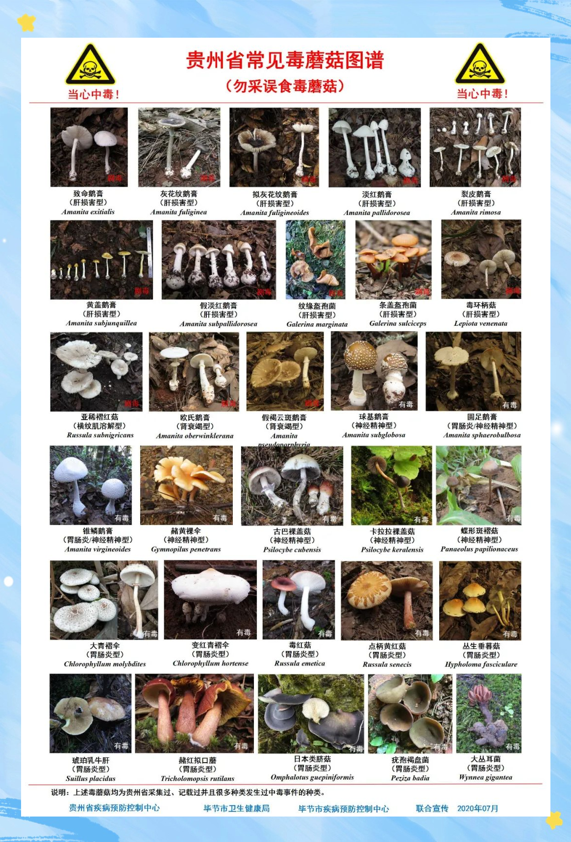 余庆人警惕:多种有毒野生菌曝光,食用需谨慎