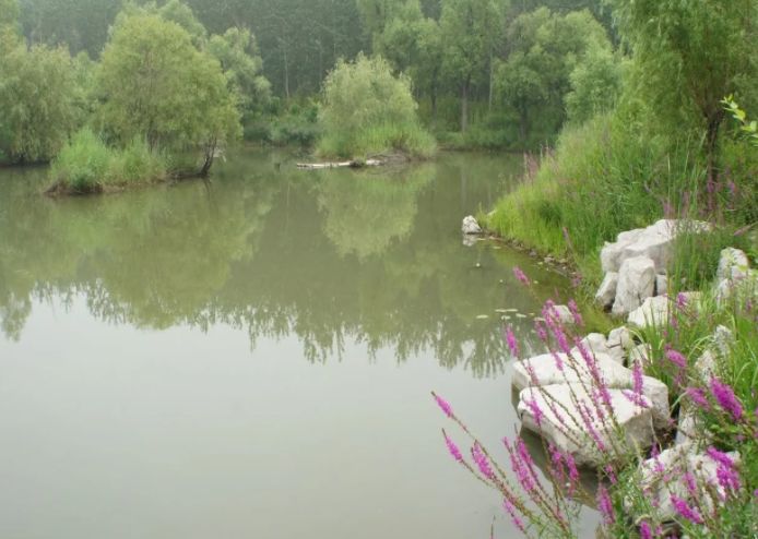 山东景点推荐,白浪绿洲湿地公园#低音号语音导游