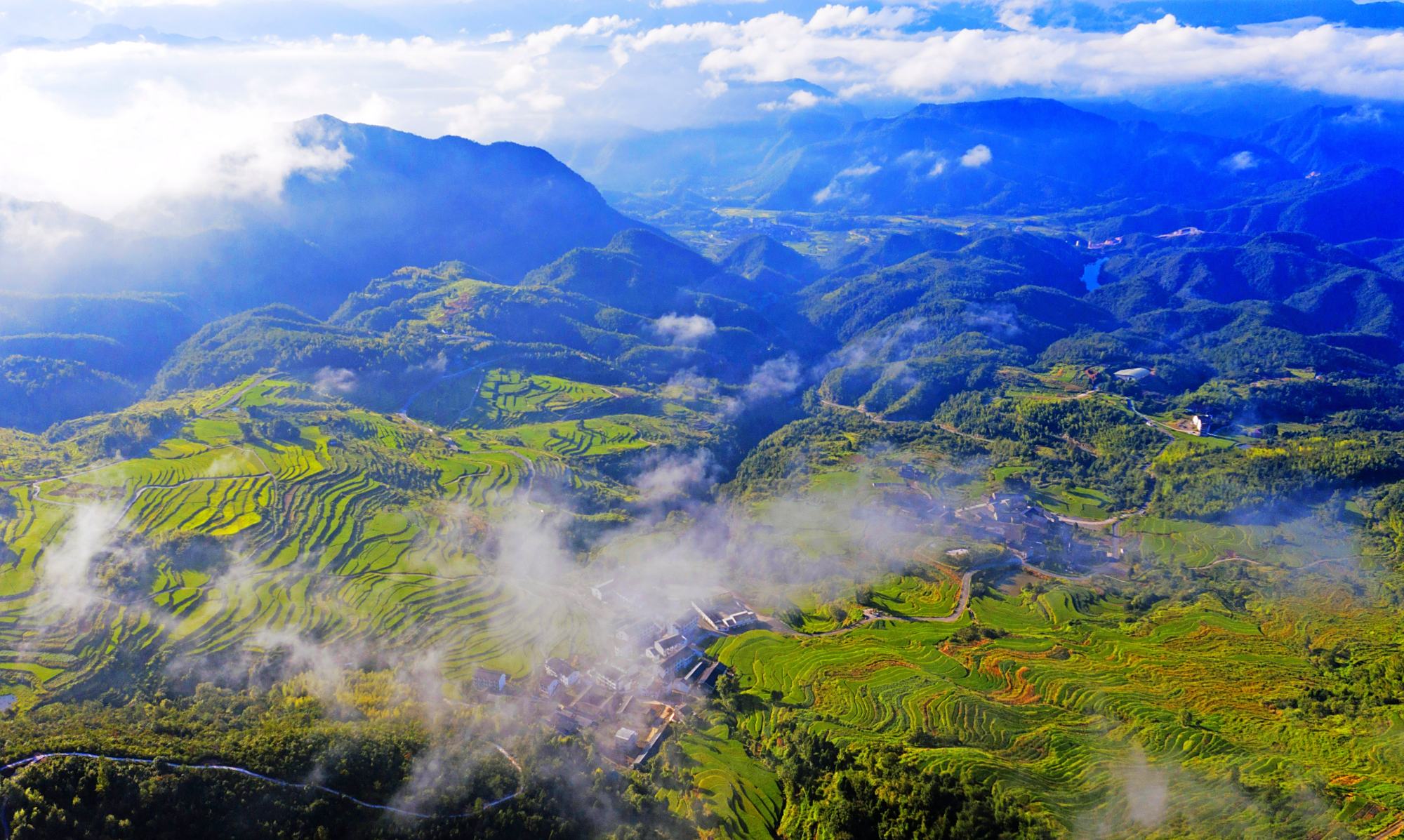 浙江仙居:梯田染金 丰收景美