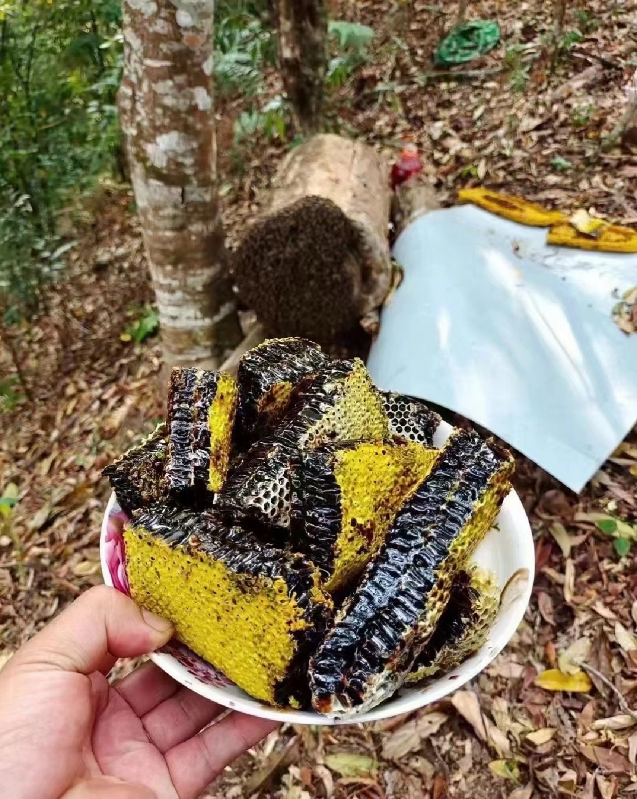 云南米团花蜂蜜的功效与作用(米团花黑蜂蜜适合人群)