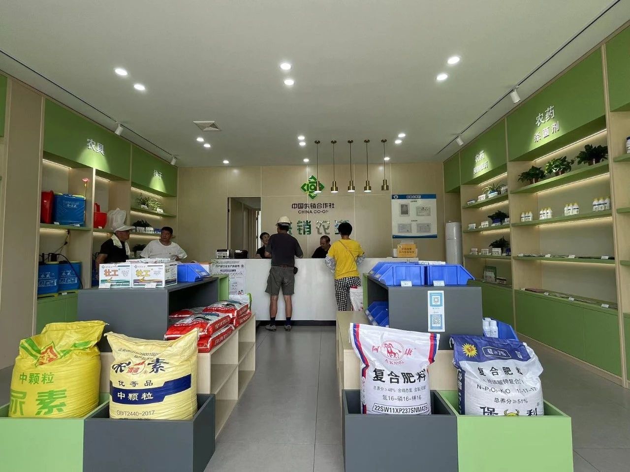 "卖药看病"一条龙,崇明这家农资门店大变样!