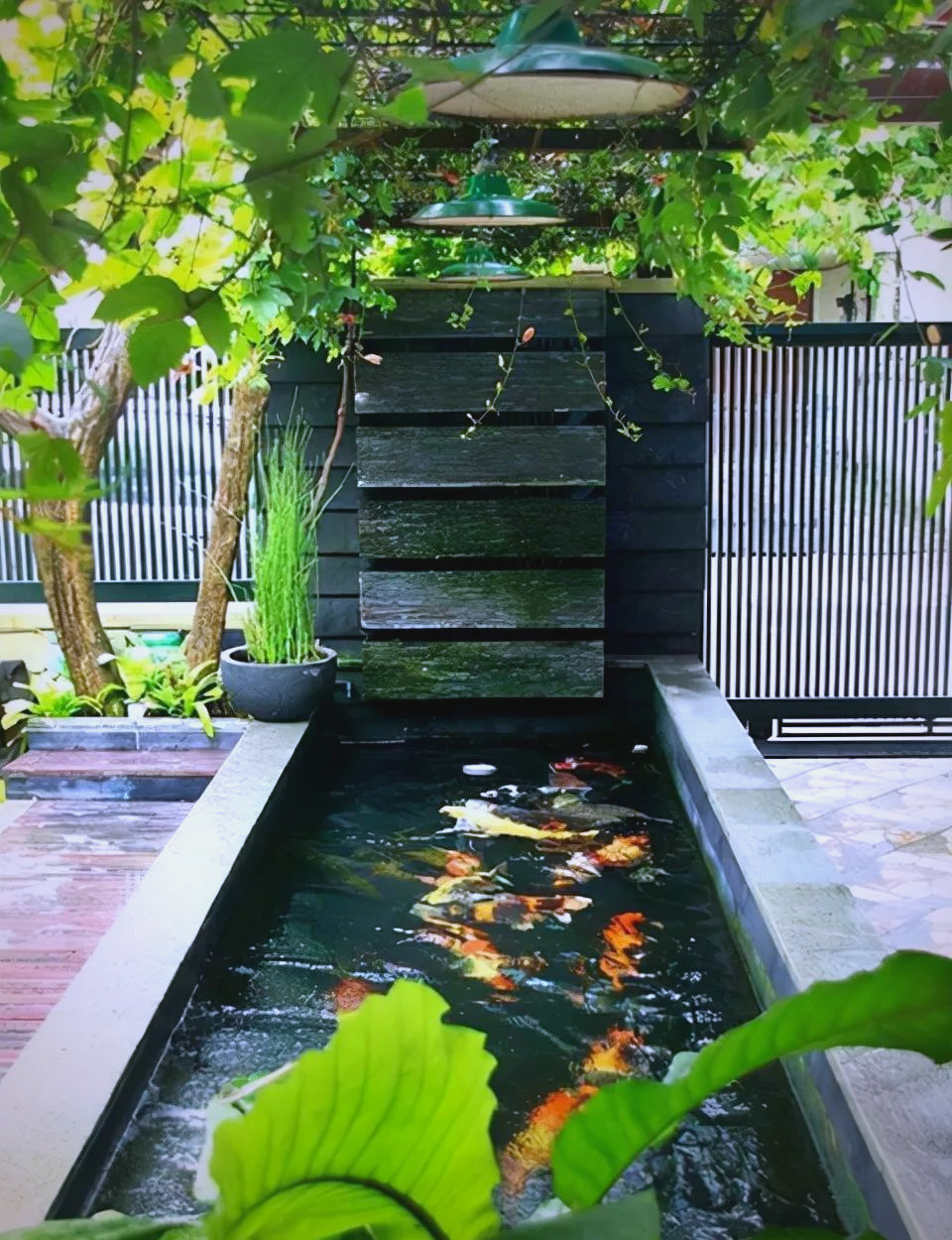 众多庭院鱼池设计案例,值得一试