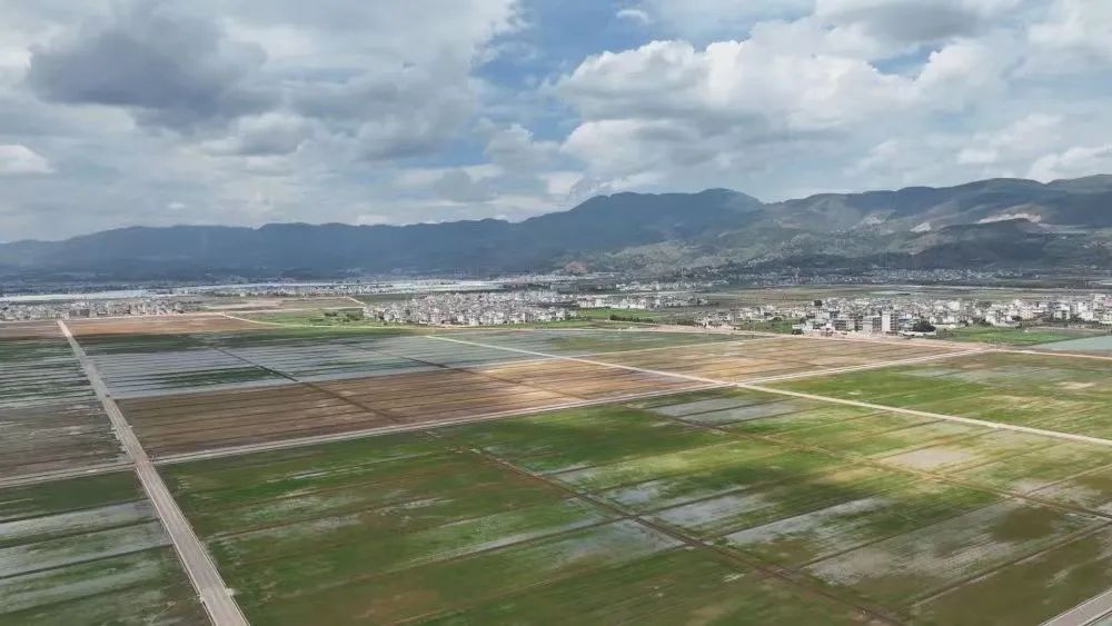 庞德良:坚持走中国特色粮食安全道路 筑牢大国粮食安全根基