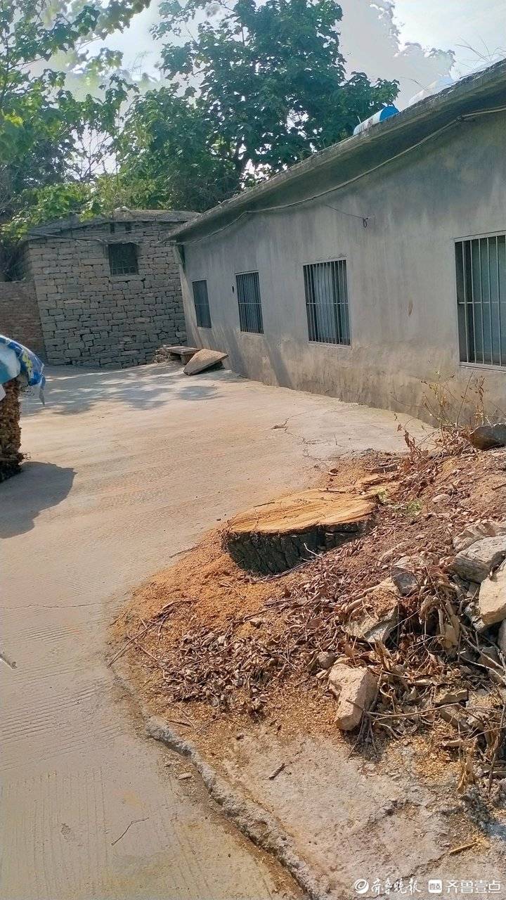 青未了|安城村东小官庄