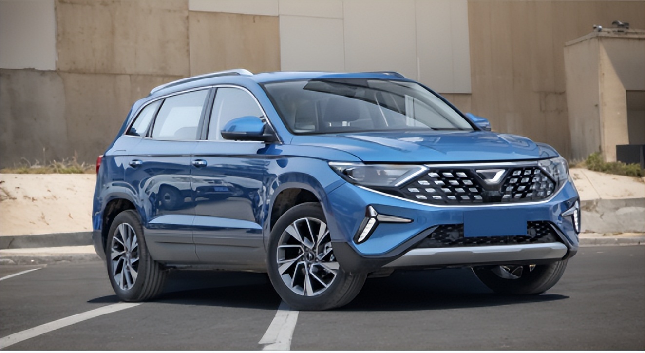 新捷达车标很好看